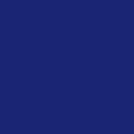 200D Legion Blue Nylon