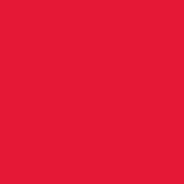 200D O.G. Red Nylon