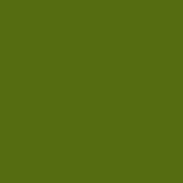 200D Olive Nylon