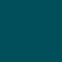 200D Teal Nylon