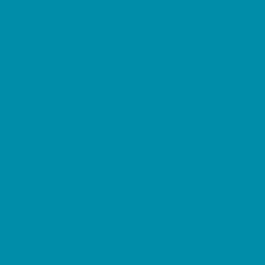 200d nylon turquoise