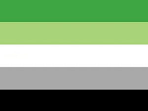 Aromantic Pride Flag - The Flag Shop