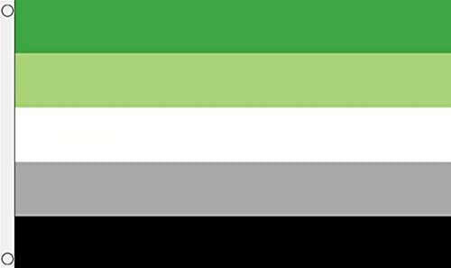 Aromantic Pride Flag - The Flag Shop