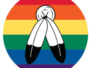 Buttons Pride Two Spirit - The Flag Shop