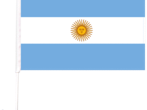Car Flag Argentina
