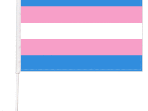Transgender Car Flags - The Flag Shop