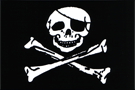 jolly roger - decal
