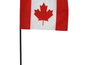 Canada Stick Flags | Canada Paper Flags | The Flag Shop