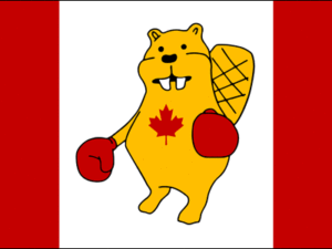 Canadian Boxing Beaver Flag