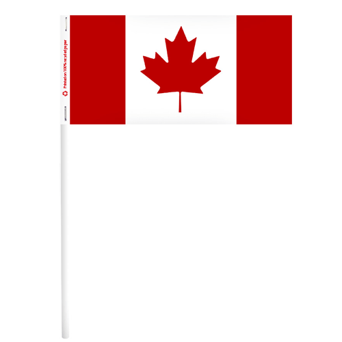 Canada Paper Stick Flags