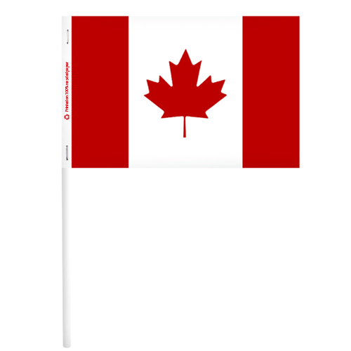 Canada Paper Stick Flags - The Flag Shop