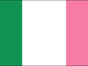 Repubblica Newfoundland Flag