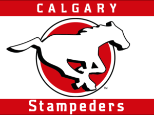 CFL Calgary Stampeders Grey Cup Flag 2017