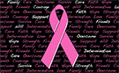Breast Cancer Inscriptions Flag - The Flag Shop