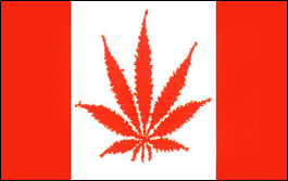 Canadian Marijuana Flag | Decorative Flags | The Flag Shop