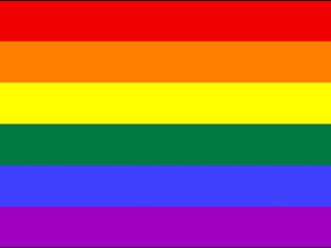Rainbow Pride Flags