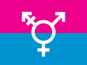 Canadian Transgender Flags
