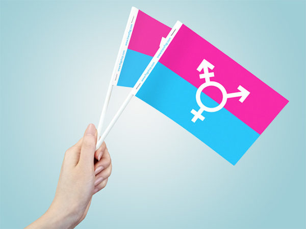 Transgender Paper Flags | Canadian Transgender Flags