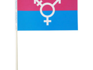 Canadian Transgender Paper Flags
