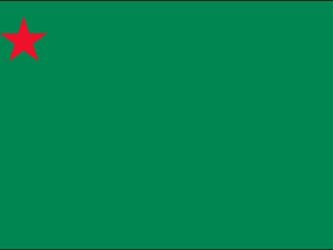 Benin Flags (1975-1990) | The Flag Shop