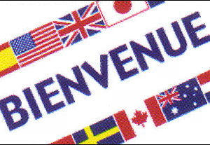 International Bienvenue Flag | Advertising & Message Flags