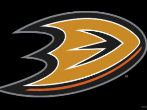 NHL Anaheim Ducks Flag - The Flag Shop