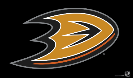 NHL Anaheim Ducks Flag - The Flag Shop