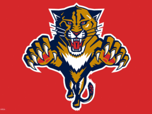 Florida Panthers Flags | NHL Florida Panthers