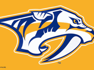 Nashville Predators Flags - The Flag Shop