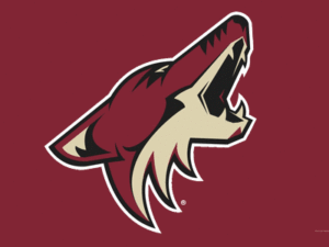 Arizona Coyotes Flags | NHL Arizona Coyotes