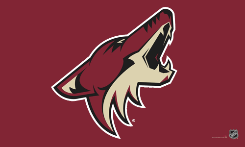 Arizona Coyotes Flags | NHL Arizona Coyotes