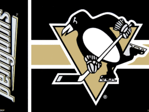 Pittsburgh Penguins Flag | NHL Flags and Banners