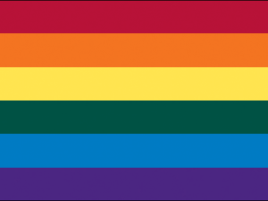 LGBTQ+ Pride Flags