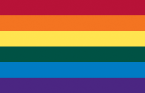 LGBTQ+ Pride Flags