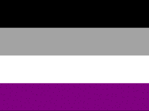 Asexual Pride Flag - The Flag Shop