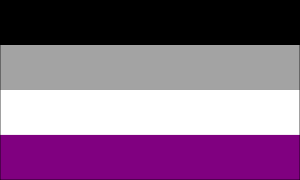 Asexual Pride Flag - The Flag Shop
