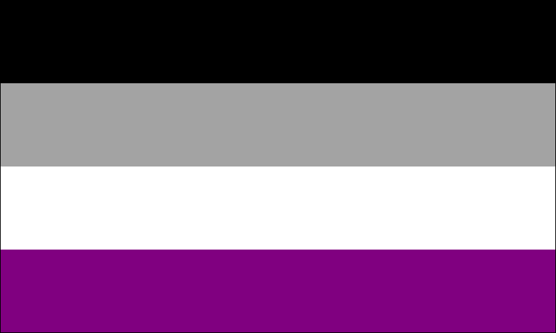 Asexual Pride Flag - The Flag Shop