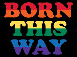 Born This Way Flag
