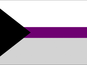 Demisexual Pride Flag - The Flag Shop