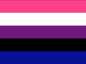 Genderfluid Pride Flag - The Flag Shop