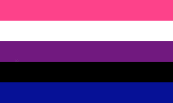 Genderfluid Pride Flag - The Flag Shop