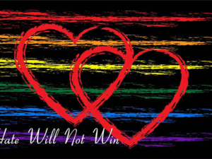 Hate Will Not Win Flags | The Flag Shop