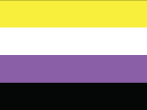 Non-Binary Pride Flag - The Flag Shop