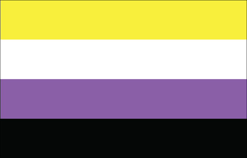Non-Binary Pride Flag - The Flag Shop