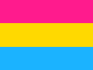 Flag Pride Pansexual - The Flag Shop