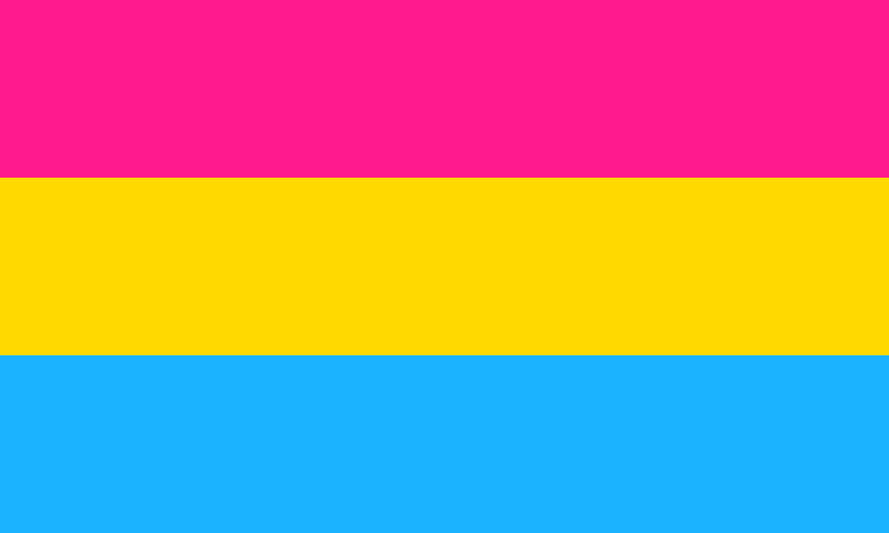 Flag Pride Pansexual - The Flag Shop