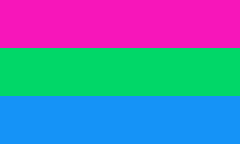 Polysexuality Pride Flag - The Flag Shop
