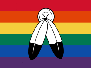 Two Spirit Flags | Two Spirit Pride Flags | LGBTQ Flags