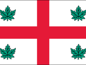 Anglican Flag | The Flag Shop