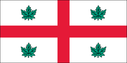 Anglican Flag | The Flag Shop